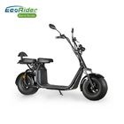 EcoRider Fat Tire 2 Wheel Electric Bicycle , On Off Road Eletric Scooter With Remote